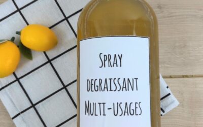 Conversion 250 cl en ml : guide pratique pour vos solutions nettoyantes